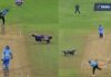 Video: Prithvi Shaw did not believe, DC got stuck, Umesh's catch did all the work of Prithvi