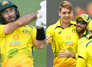 AUS vs ZIM: Australia beat Zimbabwe by 5 wickets, Maxwell played a stormy innings with an SR of 355