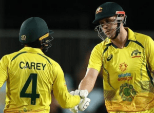 AUSvsNZ: Despite losing 5 wickets for 44 runs, Australia beat New Zealand by 2 wickets, Green-Maxwell's blast