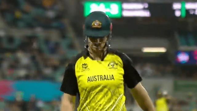 Glenn Phillips became 'Super Man', caught Stonis' amazing catch by leaping in the air, Stonis's senses flew away after seeing the catch