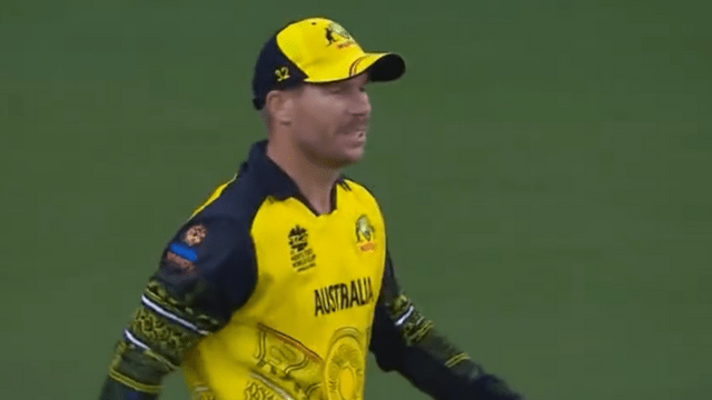 David Warner's Superman avatar, saved a six by jumping in the air, cleverly worked