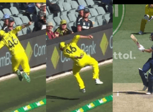 Aston Agar became "Super Man", stopped six by jumping 6 feet in the air, set color in AUS-ENG match