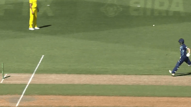 Jadeja's soul entered inside agar, completed Dawson's work with rocket throw, blew stamp from 17 meters away