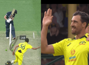 Video: Malan BOLD on Stark's 144 km speed ball, Stark made this world record