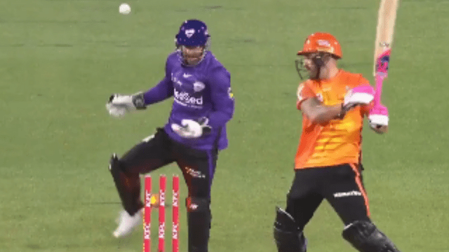 Video: Wade's trick did wonders! Du Plessis was bowled by Patrick Dooley, the drama happened in the live match