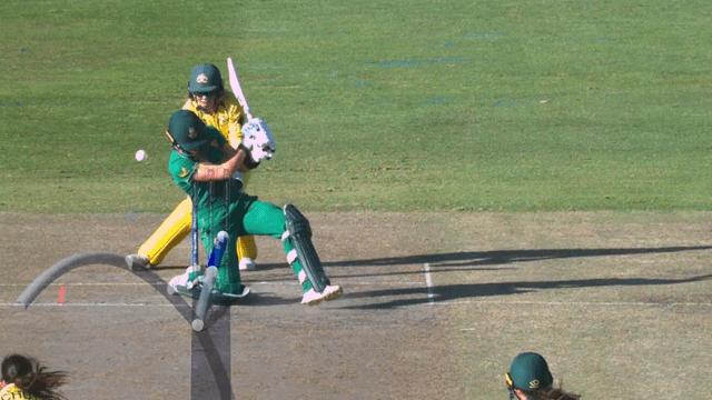 Faf du Plessis arrived to support the South Africa team, this 1 wicket snatched victory from The Africa, became AUS champion for the sixth time