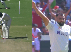 Mohammed Shami's rocket pace ball bowled, clean bold, dancing in the air dancing stumps