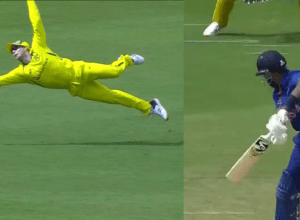 Steve Smith pounced on Hardik's shot like an eagle, took the most amazing catch of this century with one hand, Hardik's senses flew away