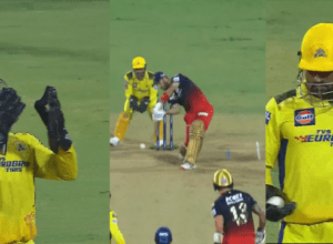 41-year-old Dhoni's agility failed Cheetah, he overturned the match by taking these 2 catches, Maxwell-Duplessis lost their senses
