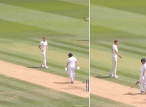 Bairstow stumped in england vs australia 2nd test