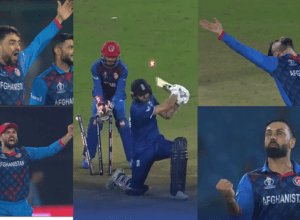 Rashid Khan uproots Mark Wood's stump, see tremendous reaction after the fall of the last wicket